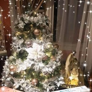 Meet your Posher, Marlene